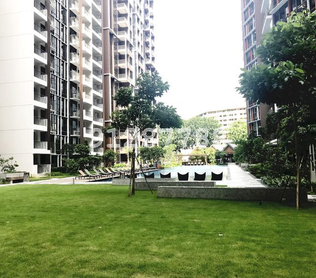 Sims Urban Oasis (D14), Condominium #158178652